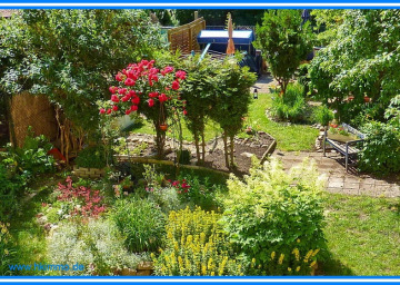 Mietwohnung 3 Zimmer,Küche,Bad in Köthen Nähe Krankenhaus - Garten hinter dem Haus (366146)