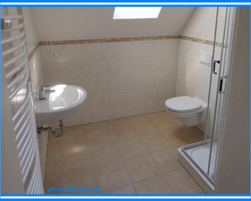 Reizvolle Wohnung mit Loftcharakter ! – auch für Studenten – - Bad mit Dusche (366337)