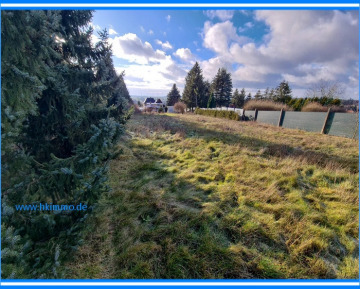 Freistehendes Einfamilienhaus bei Helbra sucht neue Bewohner - riesiger Garten (365456)