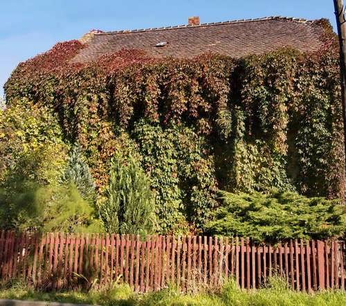 Fehler 404! Suchen Sie nicht die Fenster im Haus. Finden Sie bessere Häuser auf der Webseite über die Navigation.